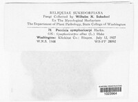 Image Associated With the Occurence